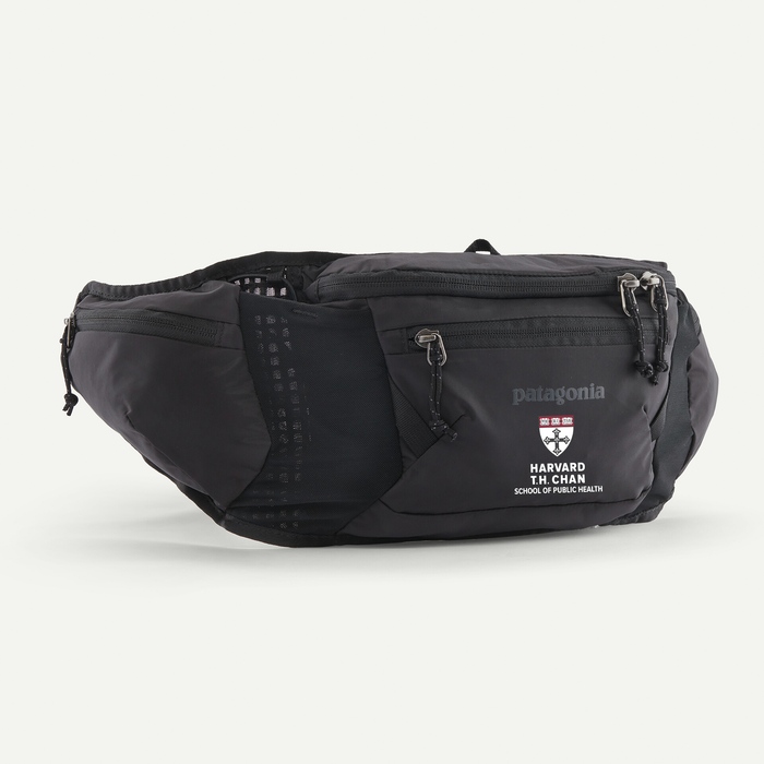 T.H. Chan Patagonia Dirt Roamer Bike Waist Pack