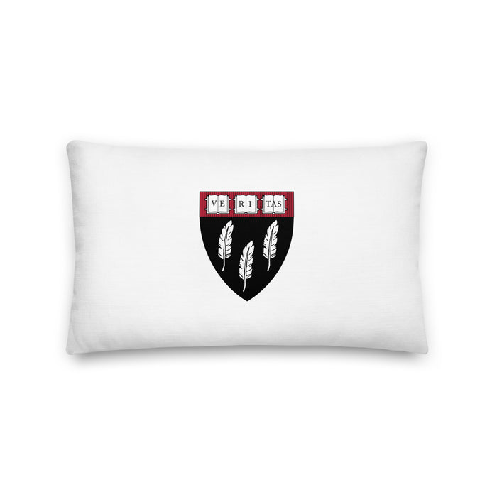 HSA Pillow