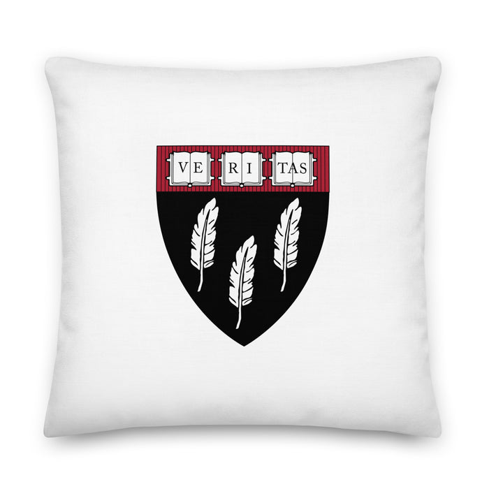 HSA Pillow