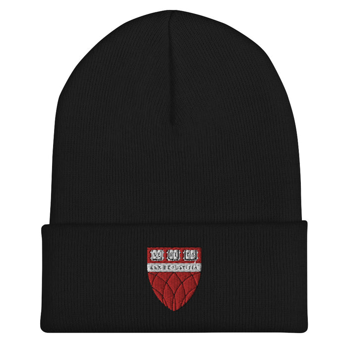 HLS Beanie