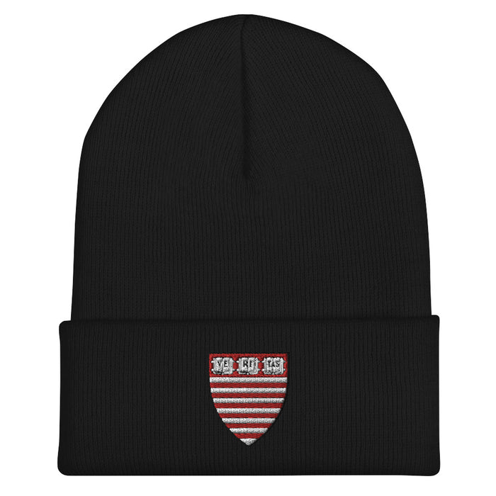 HKS Beanie