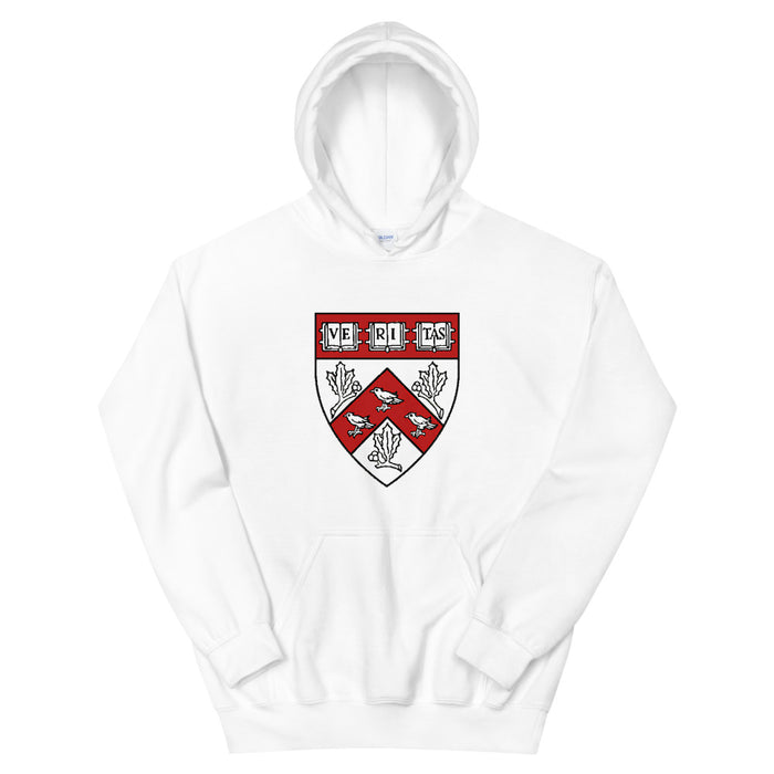 Divinity School Hoodie
