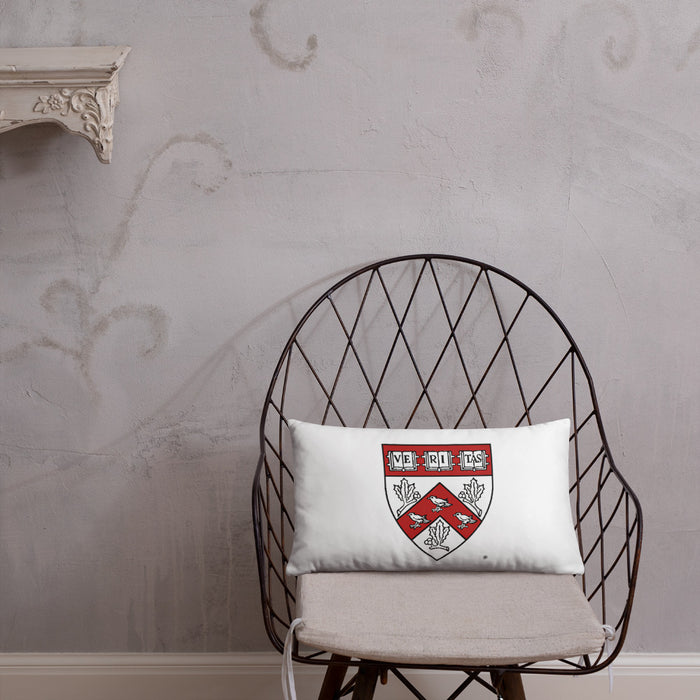 Divinity School Throw Pillow