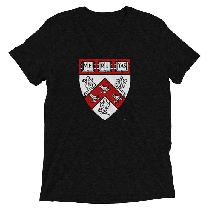 Divinity School Triblend Unisex