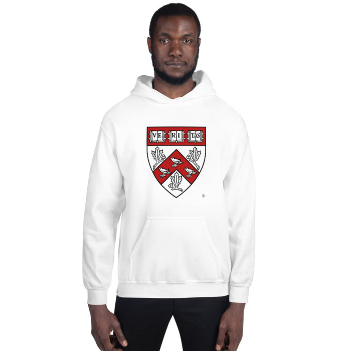 Divinity School Hoodie Unisex