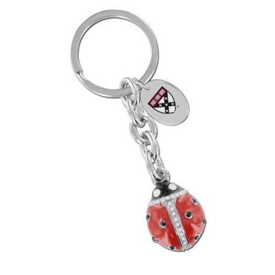 Harvard Business School Baroness Purse/Wallet Charm