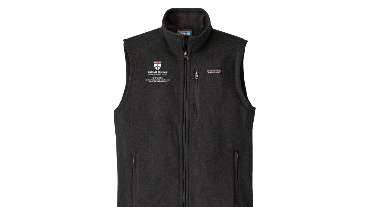 T.H. Chan C-Change Patagonia Womens Vest