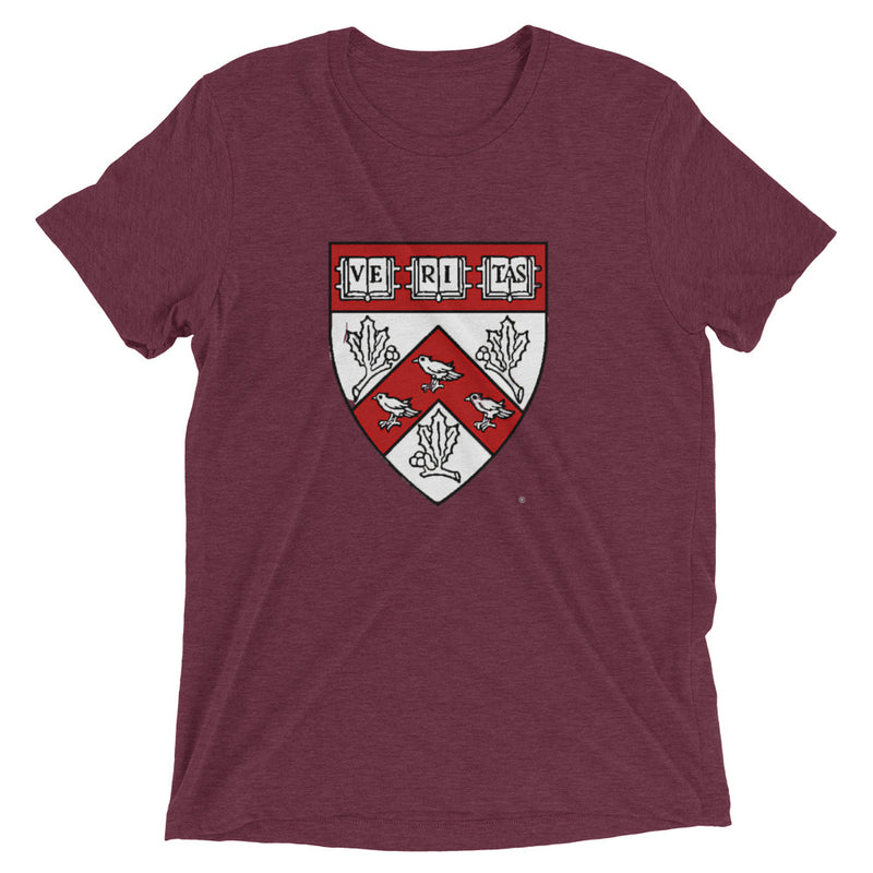 Divinity School Triblend Unisex
