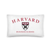 HBS Basic Pillow