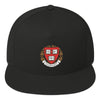 Harvard hat - testing