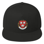 Harvard hat - testing