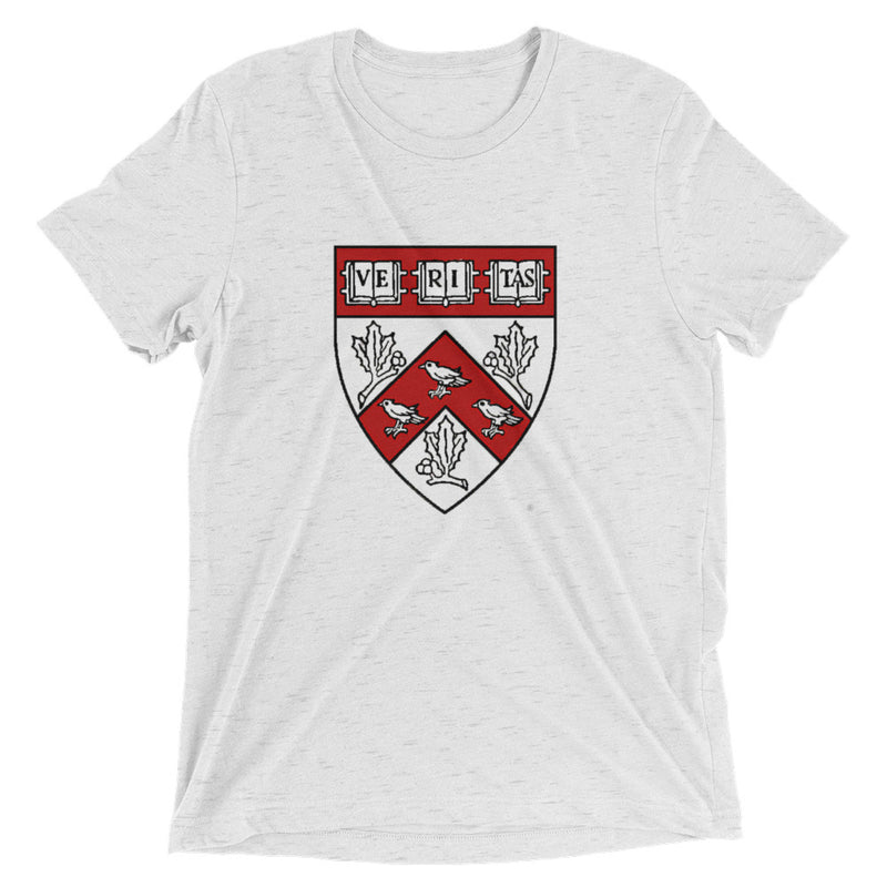 Divinity School Triblend Unisex