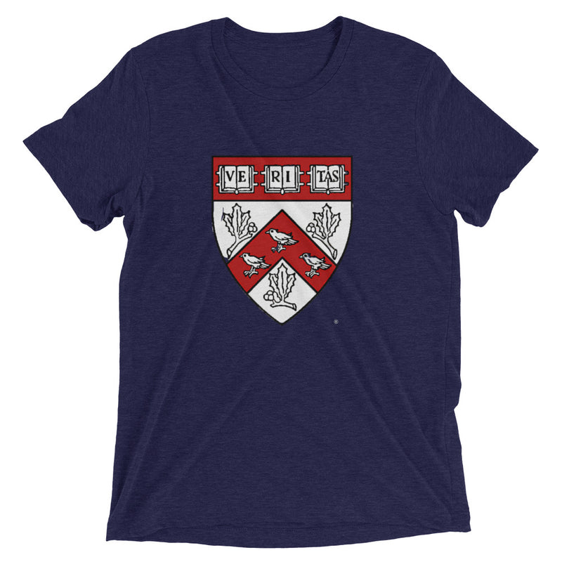 Divinity School Triblend Unisex