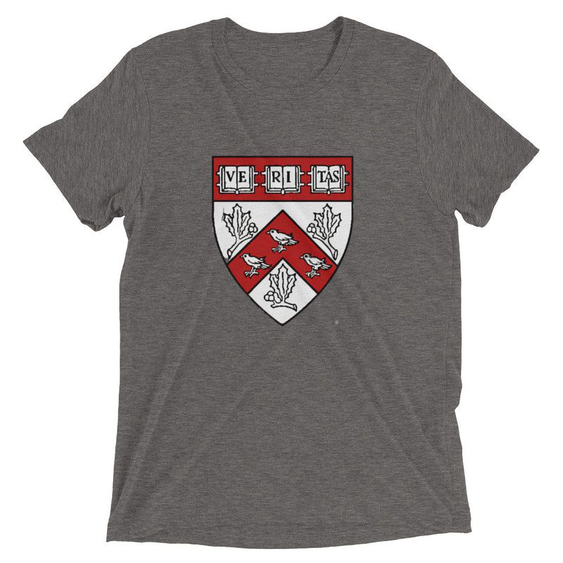 Divinity School Triblend Unisex