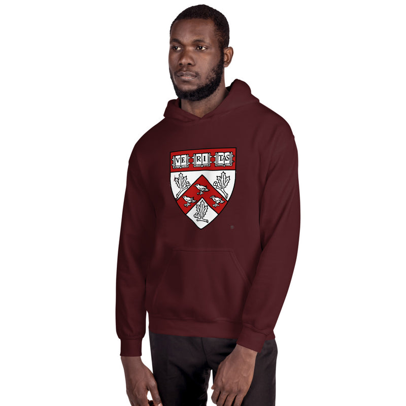 Divinity School Hoodie Unisex
