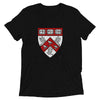 Divinity School Triblend Unisex