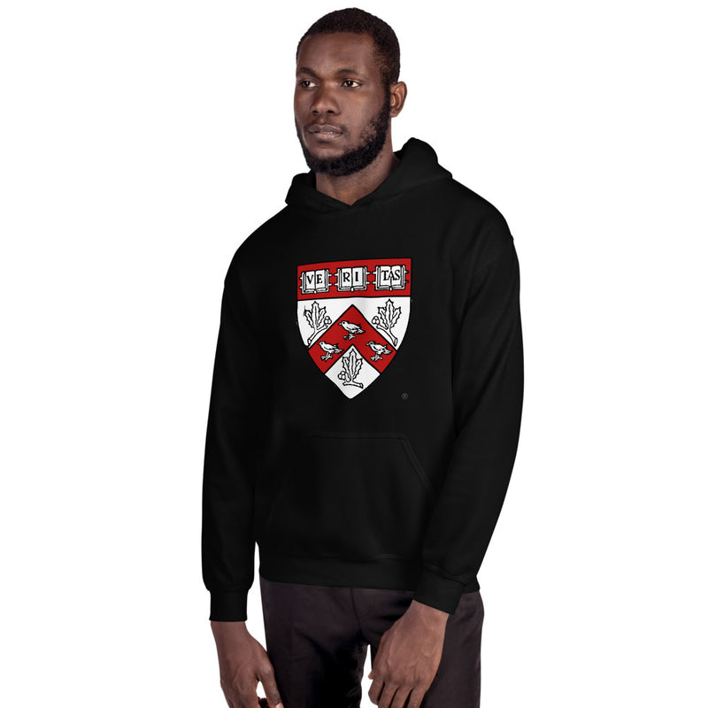 Divinity School Hoodie Unisex