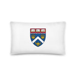 Extension School Shield Basic Pillow