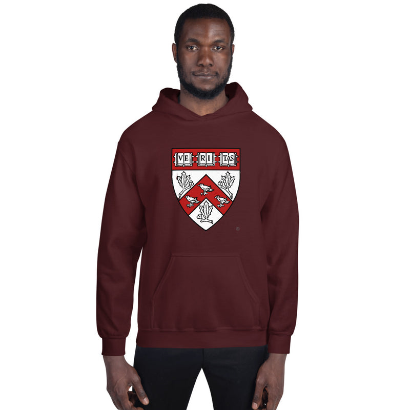 Divinity School Hoodie Unisex