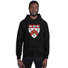 Divinity School Hoodie Unisex