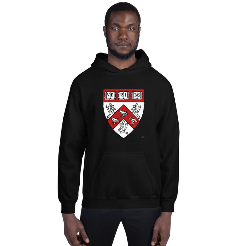 Divinity School Hoodie Unisex