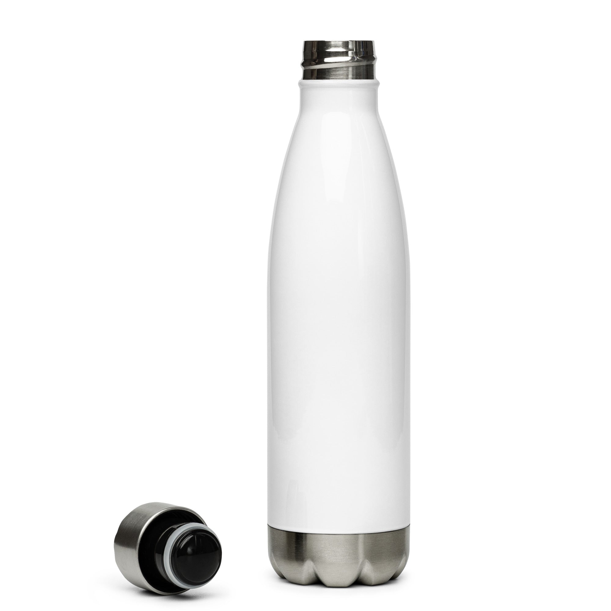 Quincy Stainless Steel Water Bottle – Alma Mater