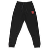 Harvard College Class of 2016 - 5th Reunion Unisex Joggers