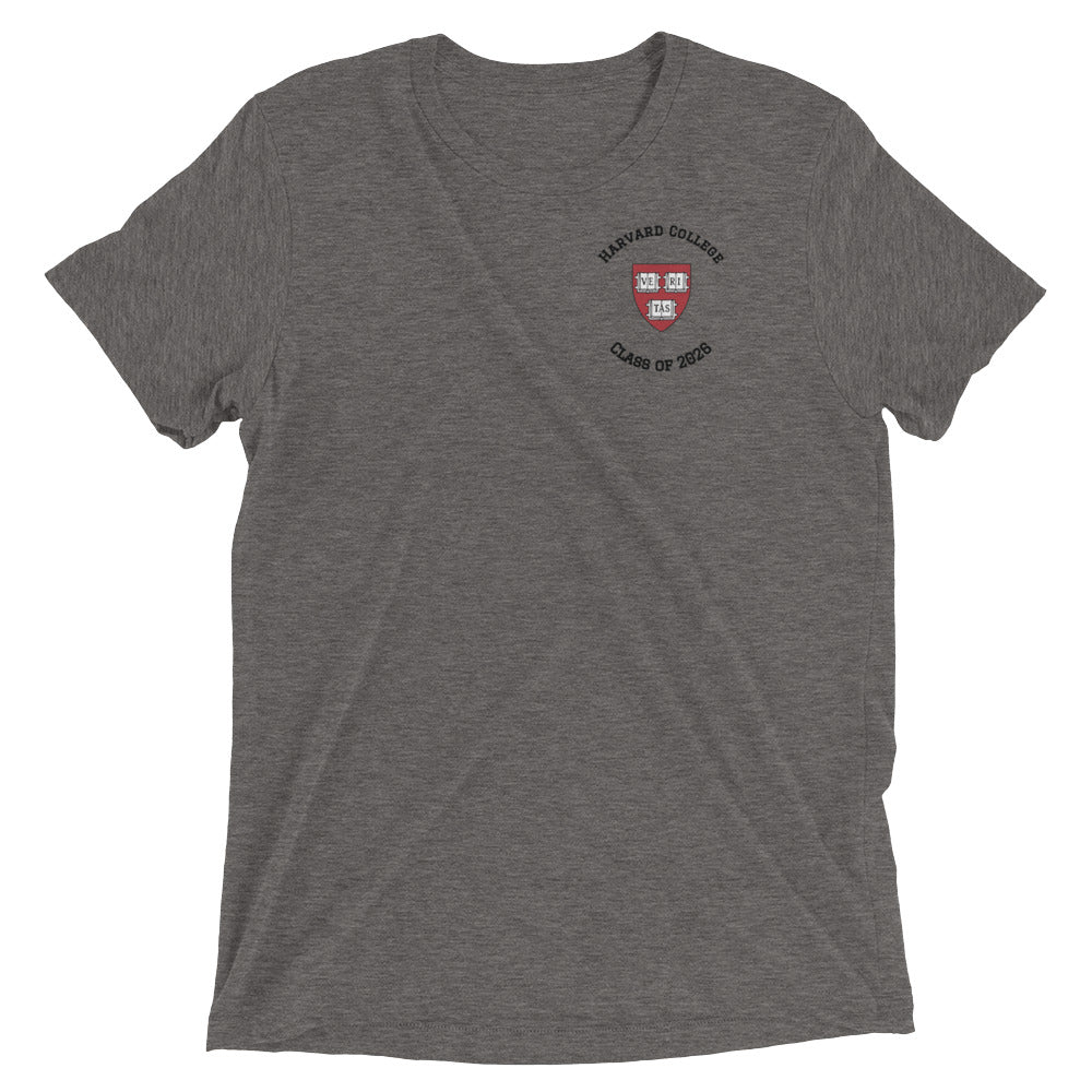unisex-tri-blend-t-shirt-grey-
