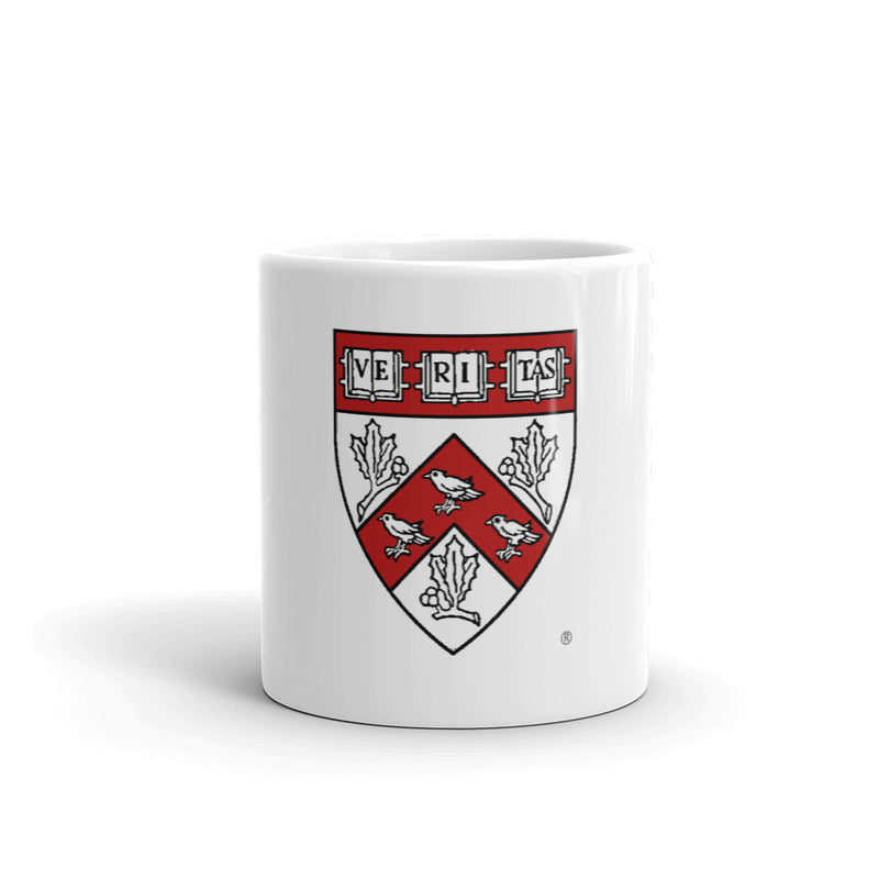 Divinity School Mug