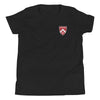 Harvard Class of 2001 20th Reunion Youth T-Shirt