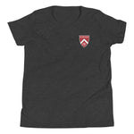 Harvard Class of 2001 20th Reunion Youth T-Shirt